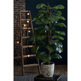 Emoragd Smaragd Art Planz Hole Planz op Pole 150 cm