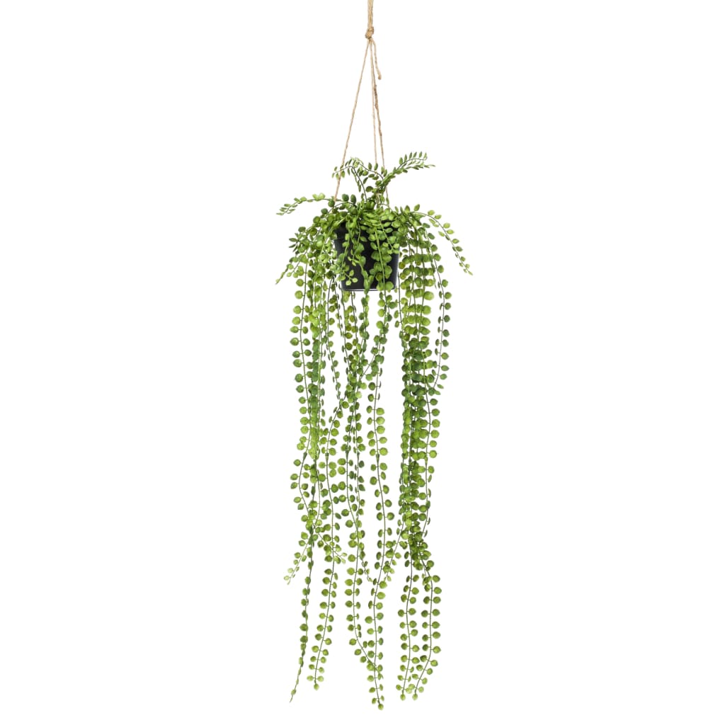 EMAAARD Smaragd Konschtplanz hänkt am Pot Ficus Pumila 60 cm