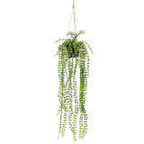 EMAAARD Smaragd Konschtplanz hänkt am Pot Ficus Pumila 60 cm