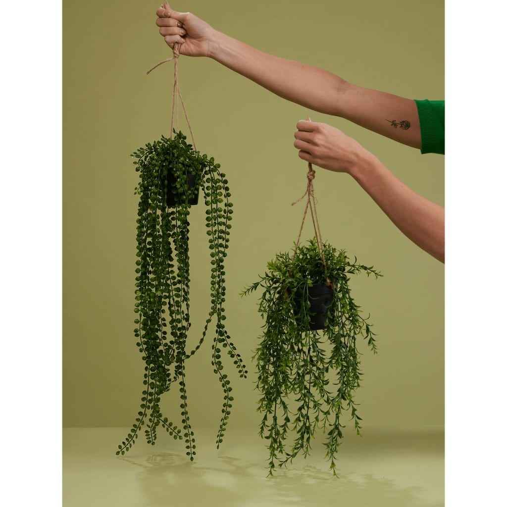 EMAAARD Smaragd Konschtplanz hänkt am Pot Ficus Pumila 60 cm