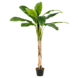 Emerarrdd Smaragd Kunstboom am Pot Banana 120 cm
