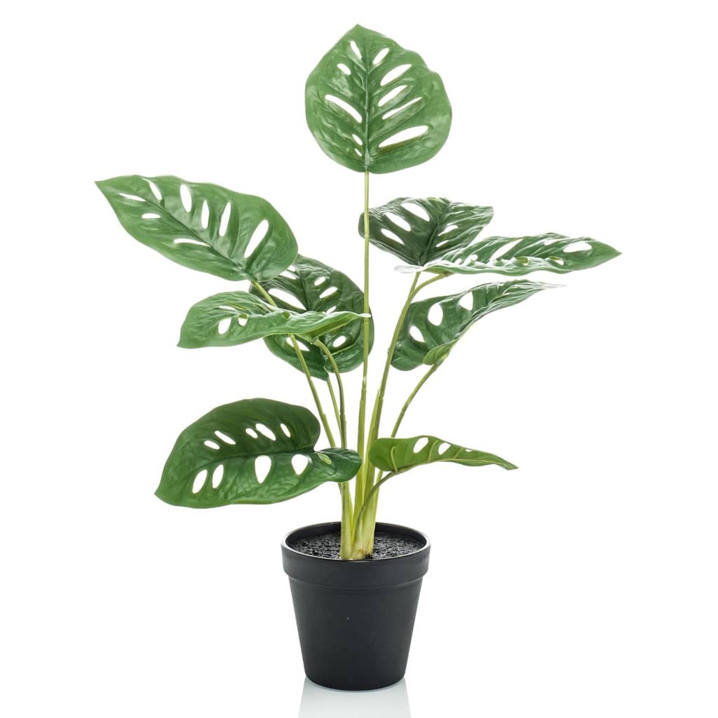 Emerald Emerald Art Rostlina v Pot Monkey Monstera Struik 43 cm