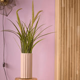 Emoragd Smaragd Art Planz an Pot Vessensartetgraen 90 cm
