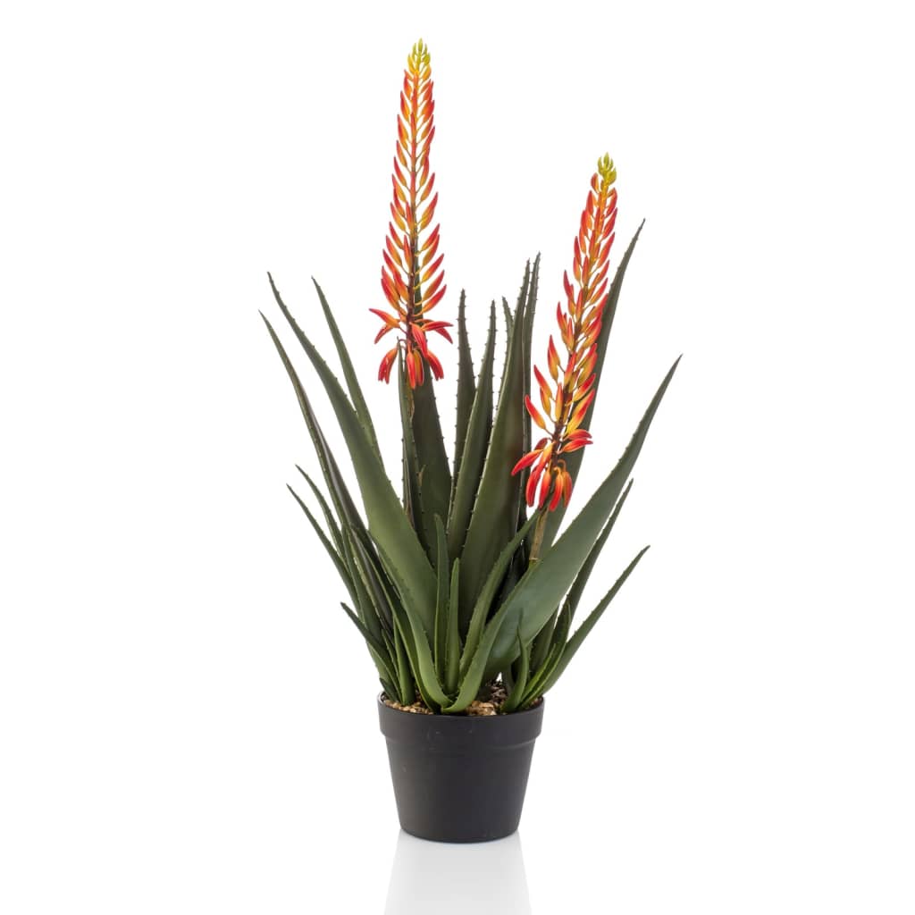 Emoragd Smaragd Art Planz zu Dëppe Alo mat 2 Blummen 80 cm