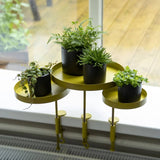 Esschert Design Esschert Design Plant Blad With Clamp around L Gold colored