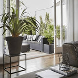 CAI Planter Urban Smooth Square 30x30x30 cm Black KBL902