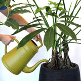 Capi Watering może xala lungo 12 l curry