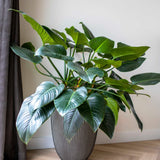 Capi Flowerpot scanalatura elegante 46x58 cm antracite -lorato
