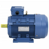 Motore elettrico Vidaxl 3 Fase 3 KW 4 CV 2-Polig 2840 RPM Alluminio
