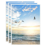 Vidaxl Fotografski okvirji 3 PCS za tabelo 15x21 cm mdf bela