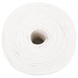 Vidaxl čolna vrvi 6 mm 100 m polipropilen polno bela