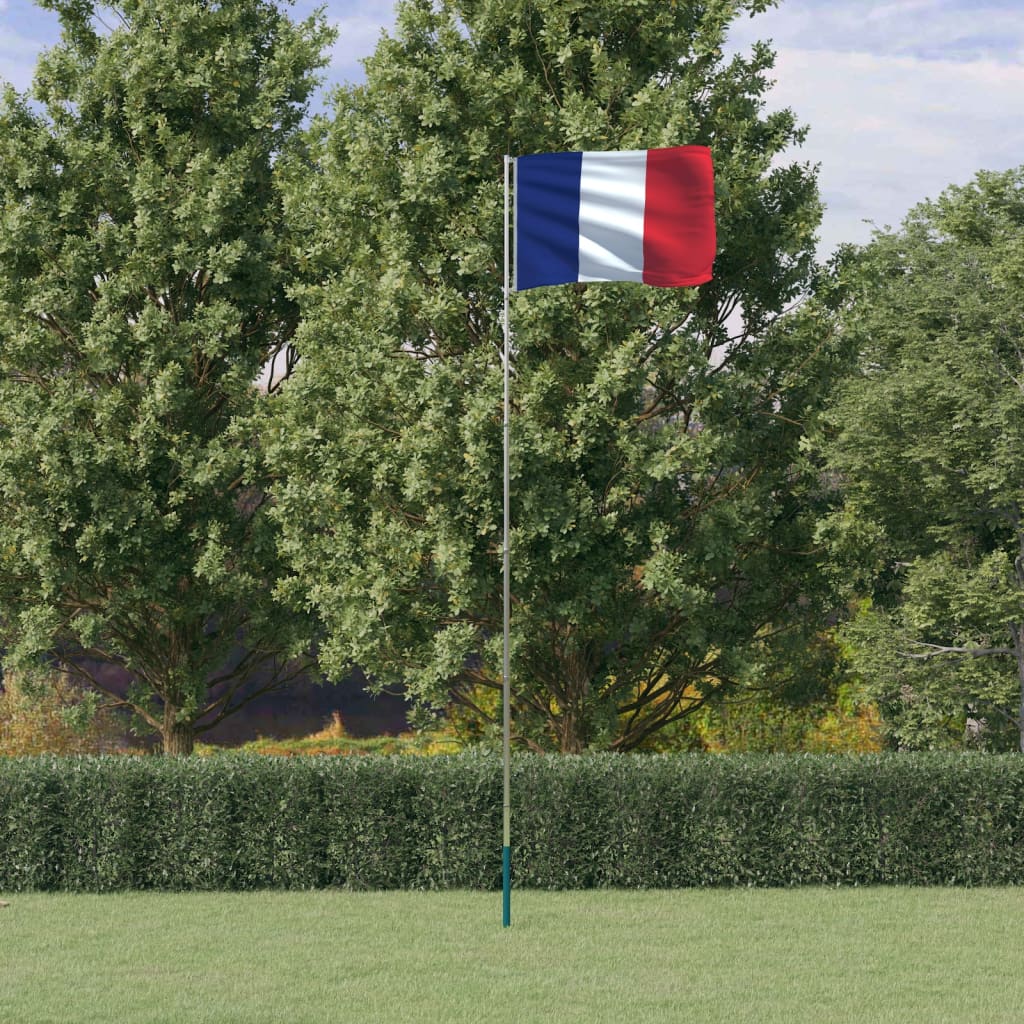 Bandera Vidaxl con Flagpole Francia 5.55 m de aluminio