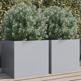 Vidaxl Planters 2 ST 42X40X39 CM Calwanowany stalowy kolor srebrny