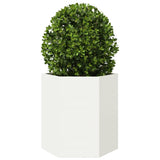 Vidaxl Planetnet Hexagon 46x40x45 cm Stolwarning