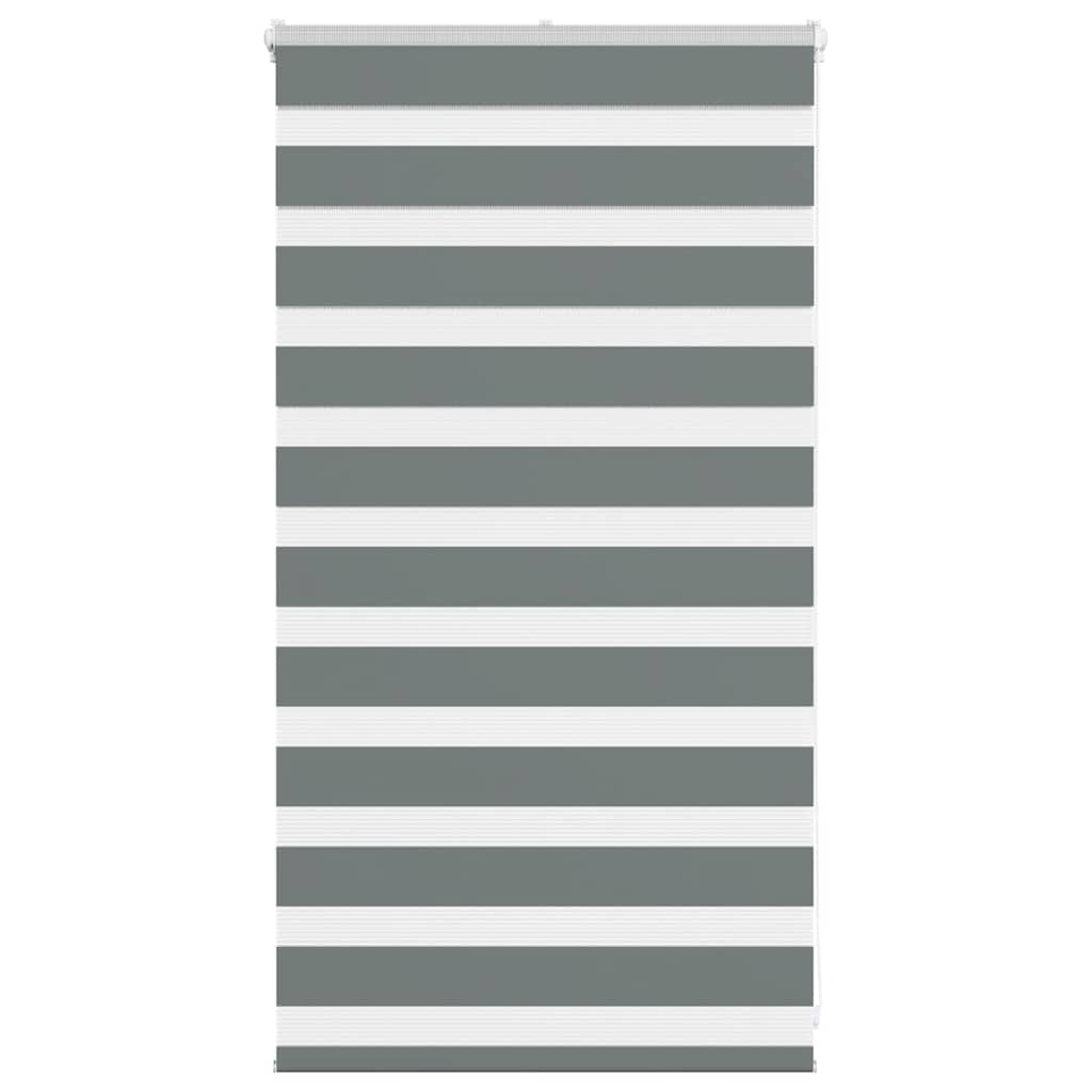 Vidaxl Zebra Roller Slepi 80x100 cm širina prahu 75,9 cm temno siva