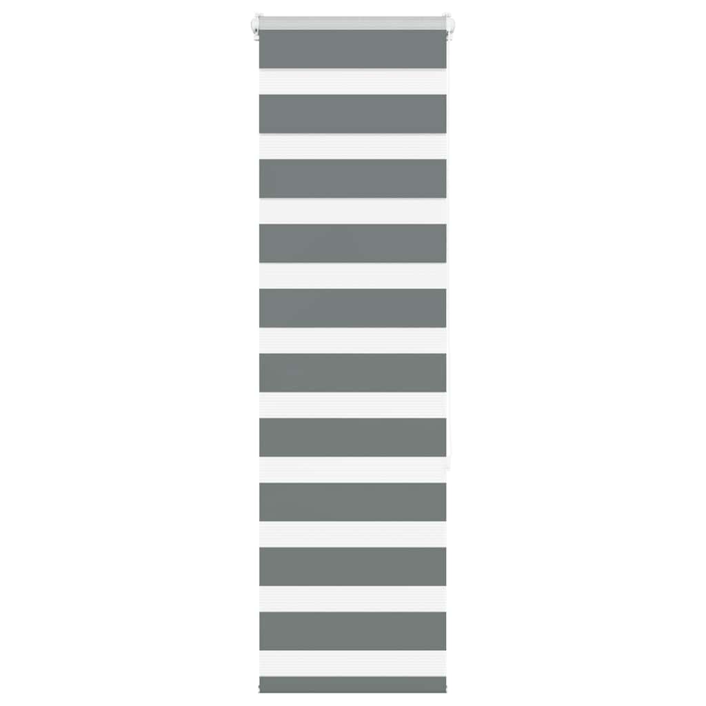 Vidaxl Zebra roller blind 50x150 cm Fabric width 45.9 cm dark gray