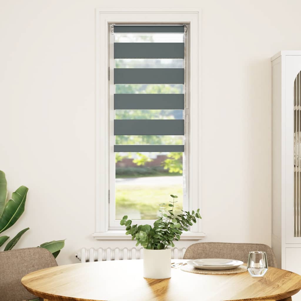 Vidaxl Zebra roller blind 50x150 cm Fabric width 45.9 cm dark gray
