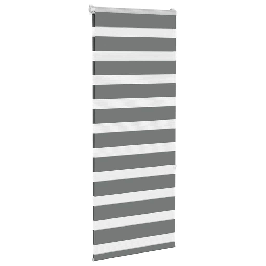 Vidaxl zebra válcový slepý 55x150 cm Šířka prachu 50,9 cm tmavě šedá