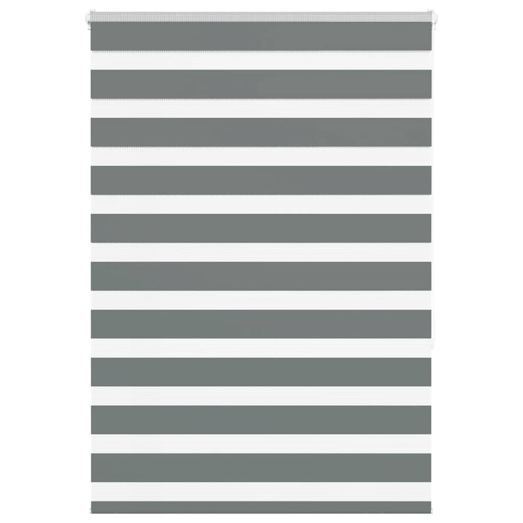 Vidaxl Zebra roller blind 95x150 cm Fabric width 90.9 cm dark gray