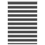 Vidaxl Zebra Roller Blind 110x100 cm Larghezza tessuto 105,9 cm nero