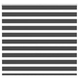Vidaxl Zebra roller blind 165x100 cm dust width 160.9 cm black