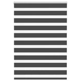 Vidaxl zebra rullo cieco 105x150 cm Larghezza tessuto 100,9 cm nero