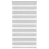 Vidaxl zebra rullo cieco 85x100 cm Larghezza tessuto 80,9 cm grigio chiaro