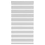 Vidaxl zebra roller slepý 70x150 cm šířka prachu 65,9 cm světle šedá