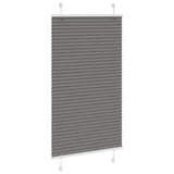 Vidaxl plisovaný válec slepý 75x100 cm Šířka prachu 74,4 cm antracit