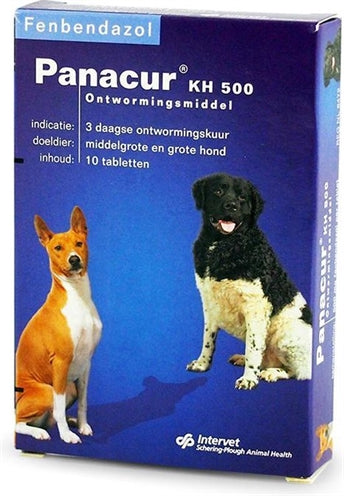 Chat de chien Panacur
