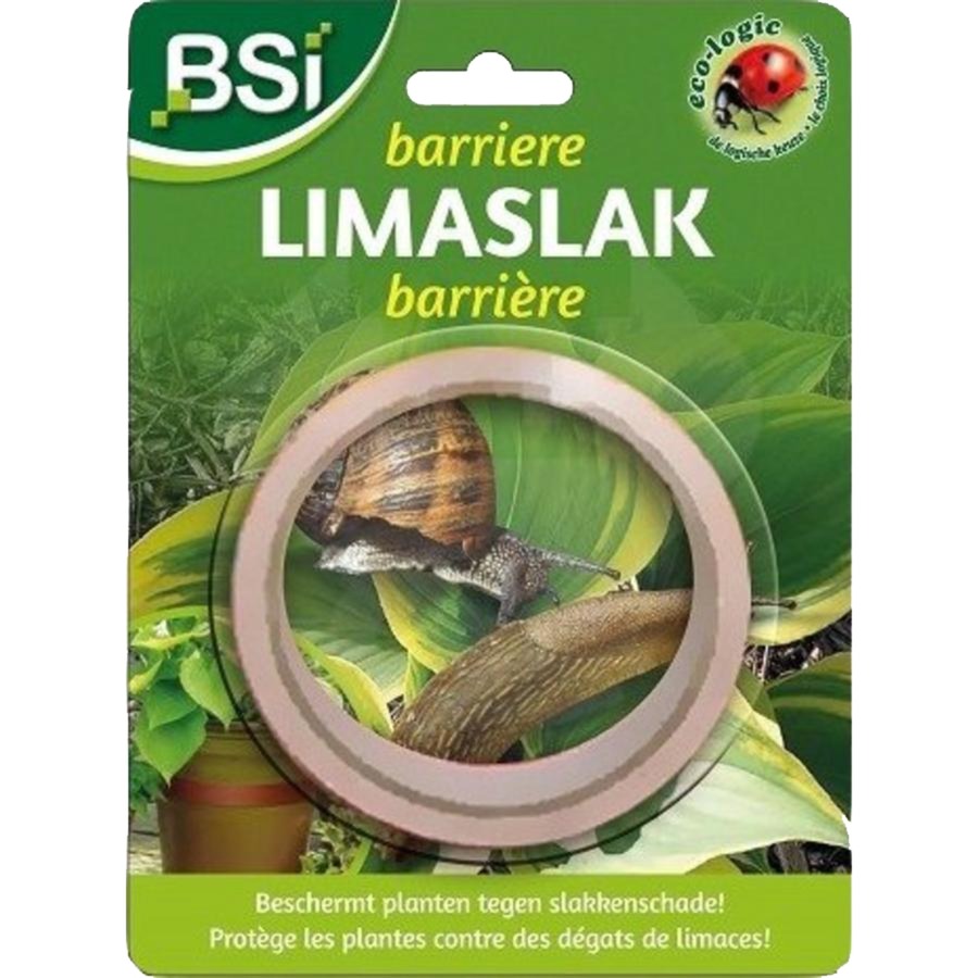 Bsi Barriore limaslak, 5 Meter
