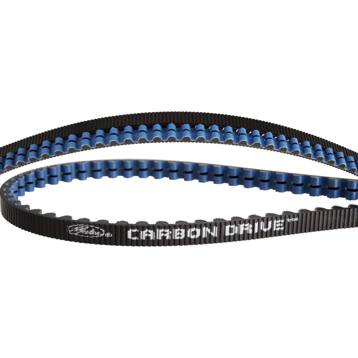 Gates CDX Riem Carbon Drive 111 Zobno črno modra - 1221 mm, 11 mm naklon, širok 12 mm.
