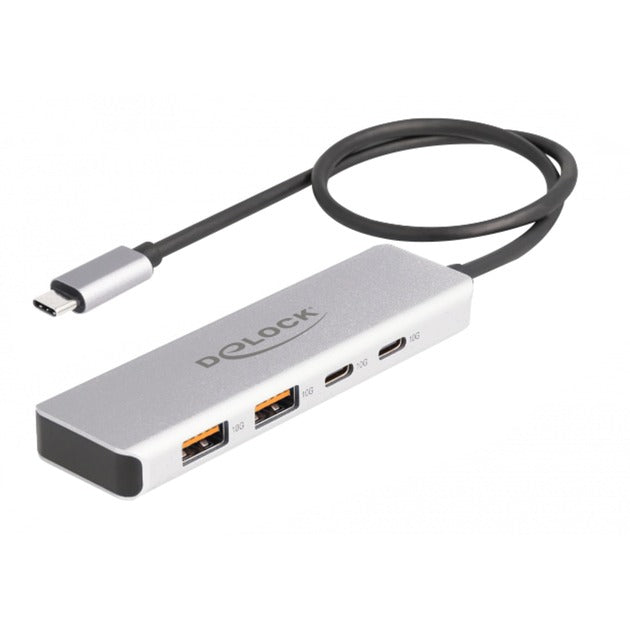 Delock USB 10 Gbps USB-C-nav