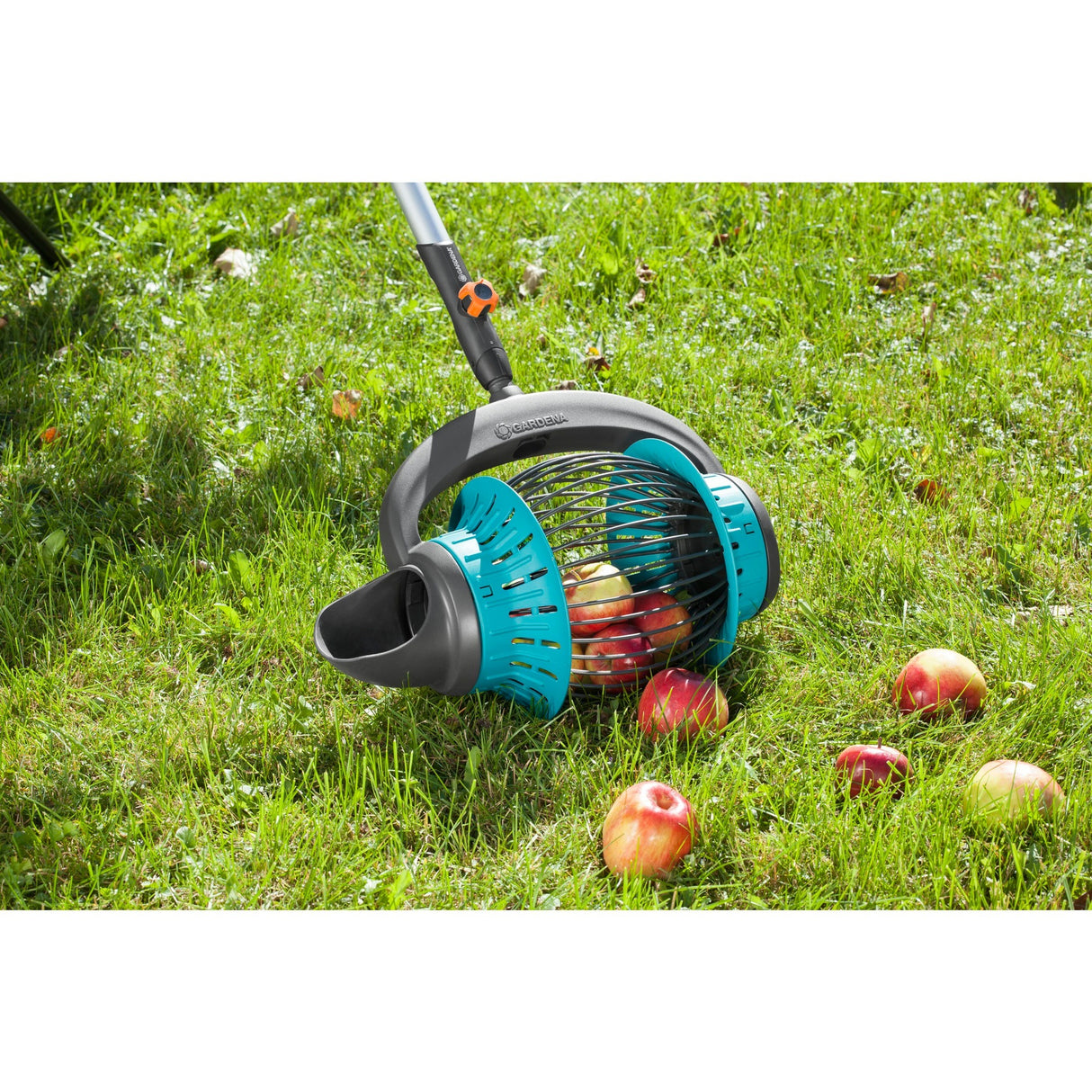 Gardena combisystem da collezione di frutta
