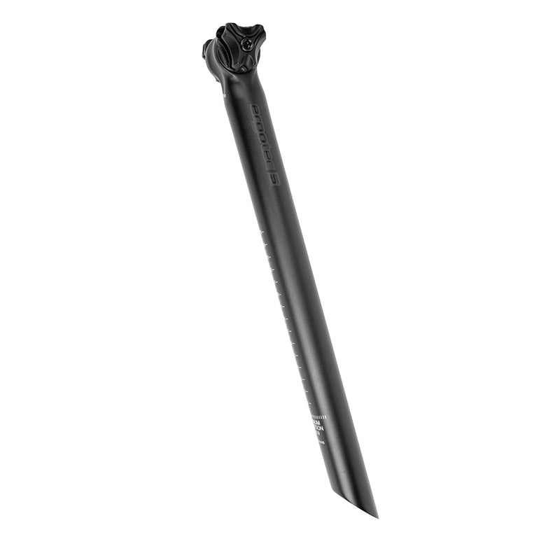 Ergotec Seat Post Viper 10 ° 31,6 x 400 Black Matte