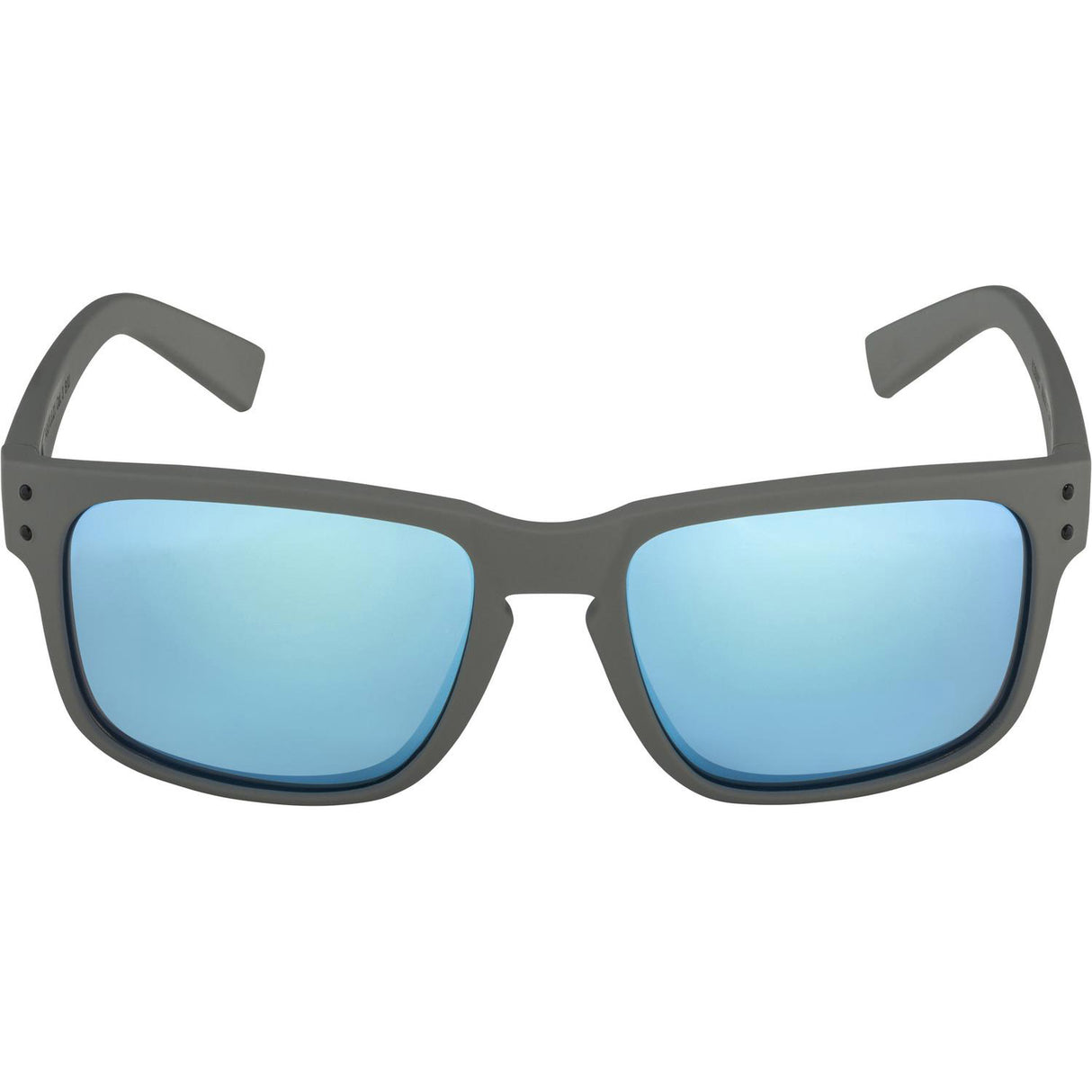 Olympiska sportkläder Alpina Sports Bril Cosmic Grey