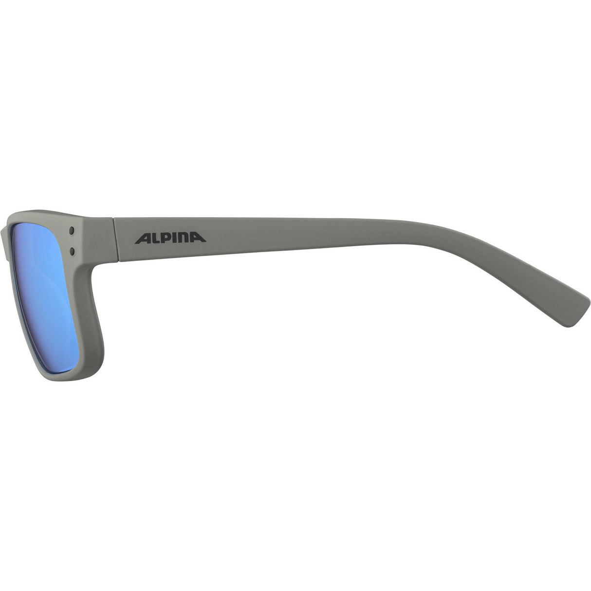 Olympiska sportkläder Alpina Sports Bril Cosmic Grey