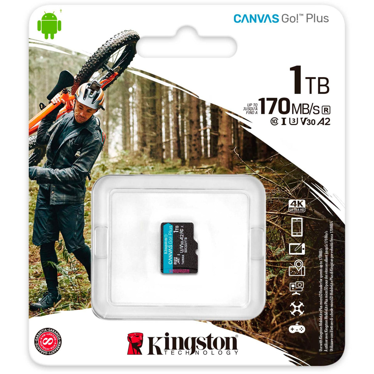 Kingston Canvas Go! Plus Mikrosdxc 1 tb