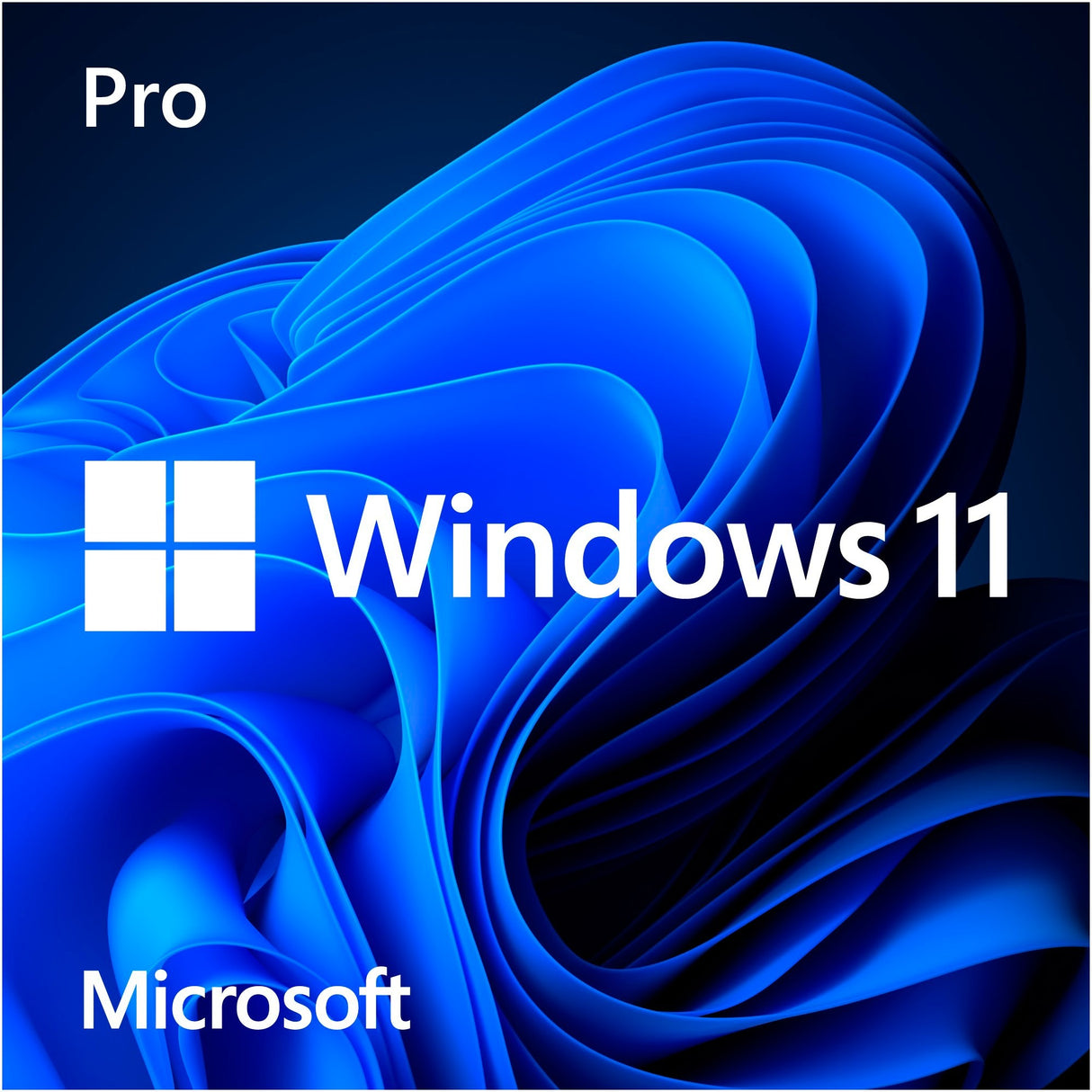 Microsoft Windows 11 (Hollännesch) Systembuilder