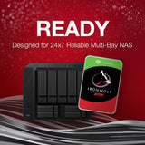 Seagate Seagate Ironwolf 6 TB