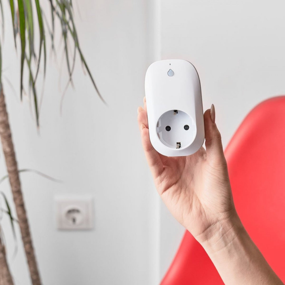 Shelly Plug Smart Wifi