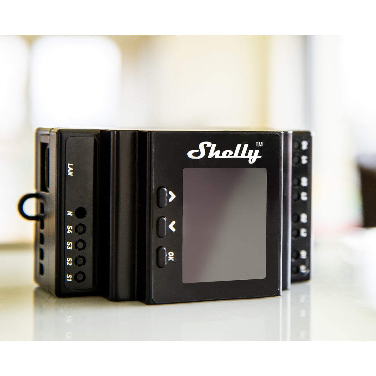 Shelly 16pm