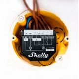 Shelly Qubino Wave 14:00
