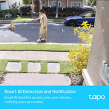 TP-LINK TAPO C420S1