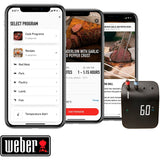 WEBER CONNECT GLILL HUB