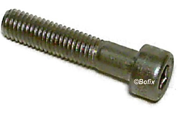 Xtrabike Bouten Allen M8X55 Steel