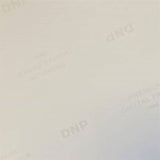 Papel estándar DNP DSRX1HS-4X6 2 Roll � 700 St. 10x15 para DS-RX1HS