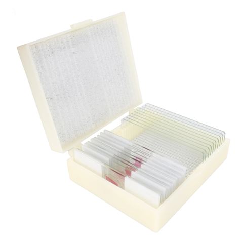 Konus préparations de la biologie: zo�logie 1 (25 pièces)