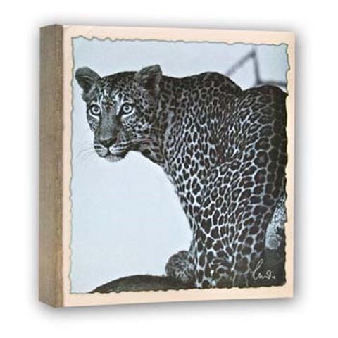 ZEP WL57100 Album Slip -in 100 photos 13x19 cm - 12 albums