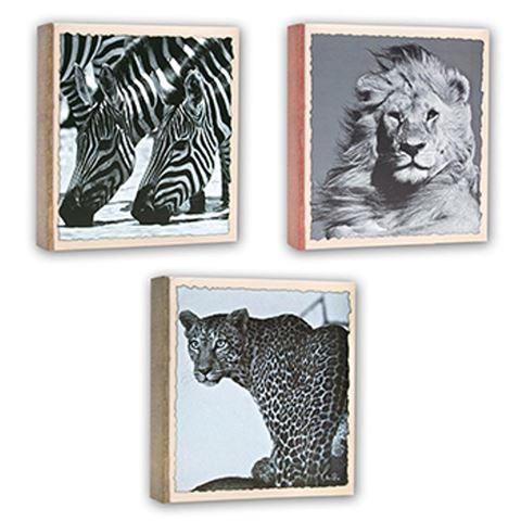 ZEP WL57100 Album Slip -in 100 photos 13x19 cm - 12 albums